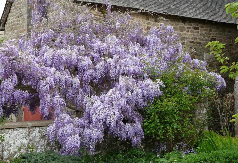 Le Clos Des Anges Dingé Exteriér fotografie